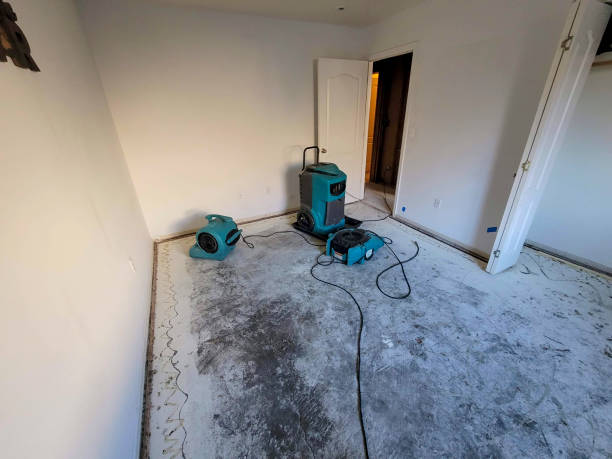 Best Sewage cleanup and water damage restoration  in Braska City, NE