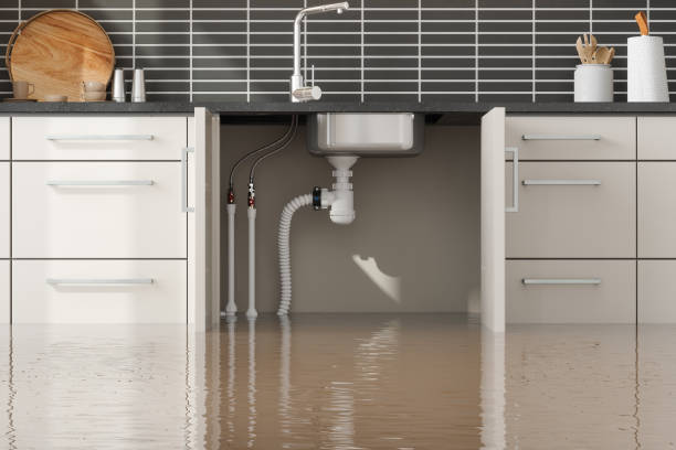 Water damage restoration insurance claims in Nebraska City, NE