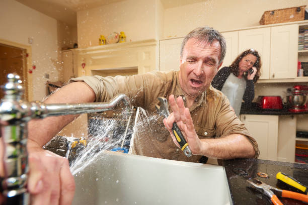 Best Ceiling water damage repair  in Braska City, NE